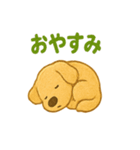 ふわもこ犬の日常スタンプ1（個別スタンプ：23）
