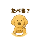 ふわもこ犬の日常スタンプ1（個別スタンプ：26）