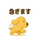 ふわもこ犬の日常スタンプ1（個別スタンプ：36）