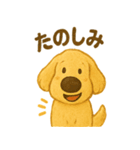 ふわもこ犬の日常スタンプ1（個別スタンプ：40）