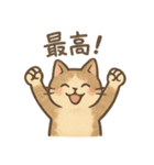 なんとなく人っぽい仕草をする猫（個別スタンプ：11）