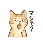なんとなく人っぽい仕草をする猫（個別スタンプ：14）