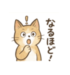 なんとなく人っぽい仕草をする猫（個別スタンプ：16）