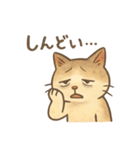 なんとなく人っぽい仕草をする猫（個別スタンプ：17）