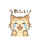 なんとなく人っぽい仕草をする猫（個別スタンプ：20）