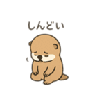 貝大好きラッコちゃん（個別スタンプ：23）