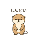 貝大好きラッコちゃん（個別スタンプ：24）