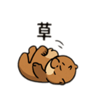 貝大好きラッコちゃん（個別スタンプ：40）
