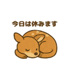 ふわふわ鹿の毎日スタンプ（個別スタンプ：38）