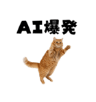AI副業で稼ぐ猫（個別スタンプ：5）