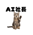 AI副業で稼ぐ猫（個別スタンプ：6）