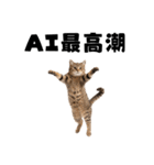 AI副業で稼ぐ猫（個別スタンプ：8）