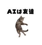 AI副業で稼ぐ猫（個別スタンプ：11）