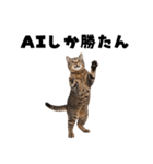 AI副業で稼ぐ猫（個別スタンプ：15）