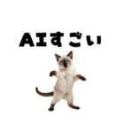 AI副業で稼ぐ猫（個別スタンプ：19）