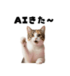 AI副業で稼ぐ猫（個別スタンプ：28）