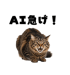 AI副業で稼ぐ猫（個別スタンプ：38）
