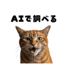 AI副業で稼ぐ猫（個別スタンプ：40）