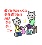 格言を言う猫⑭ ★誠実に愛を表す★（個別スタンプ：13）
