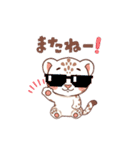 白ヒョウ赤ちゃんスタンプ（個別スタンプ：9）