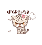 白ヒョウ赤ちゃんスタンプ（個別スタンプ：13）