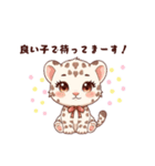 白ヒョウ赤ちゃんスタンプ（個別スタンプ：20）