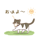 桃太郎 ＆ ナナ（個別スタンプ：1）