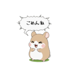 ごめんねハムスターの謝罪スタンプ（個別スタンプ：5）