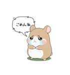 ごめんねハムスターの謝罪スタンプ（個別スタンプ：16）