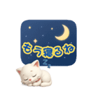 かわいい白猫メッセージ（個別スタンプ：13）