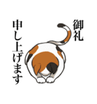 ひたすら喜ぶ動物たち（個別スタンプ：1）