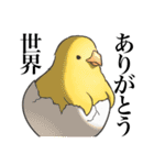 ひたすら喜ぶ動物たち（個別スタンプ：5）