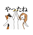 ひたすら喜ぶ動物たち（個別スタンプ：10）