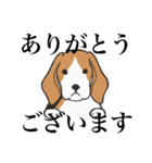 ひたすら喜ぶ動物たち（個別スタンプ：13）