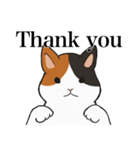 ひたすら喜ぶ動物たち（個別スタンプ：14）