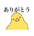 ひたすら喜ぶ動物たち（個別スタンプ：15）