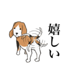 ひたすら喜ぶ動物たち（個別スタンプ：21）