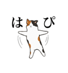 ひたすら喜ぶ動物たち（個別スタンプ：22）