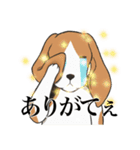 ひたすら喜ぶ動物たち（個別スタンプ：24）