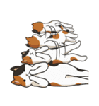 ひたすら喜ぶ動物たち（個別スタンプ：33）