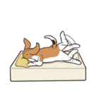 ひたすら喜ぶ動物たち（個別スタンプ：35）