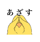ひたすら喜ぶ動物たち（個別スタンプ：37）