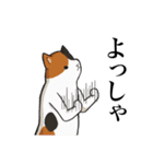 ひたすら喜ぶ動物たち（個別スタンプ：40）