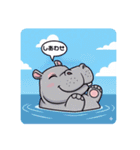 ファミリーカバの日常スタンプ（個別スタンプ：13）