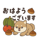 飛びだす♪秋のぽてぽて子柴犬スタンプ（個別スタンプ：1）