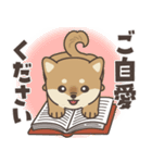 飛びだす♪秋のぽてぽて子柴犬スタンプ（個別スタンプ：4）