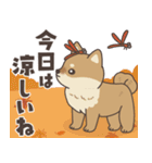 飛びだす♪秋のぽてぽて子柴犬スタンプ（個別スタンプ：6）