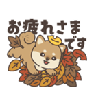 飛びだす♪秋のぽてぽて子柴犬スタンプ（個別スタンプ：14）