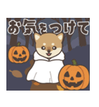 飛びだす♪秋のぽてぽて子柴犬スタンプ（個別スタンプ：20）