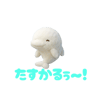 雲で出来たかわいい動物達 あいさつ 便利（個別スタンプ：13）